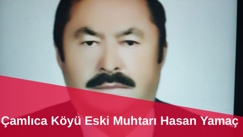 Çamlıca Köyü Eski Muhtarı Hasan Yamaç Arı Sokması Sonucu Hayatını Kaybetti