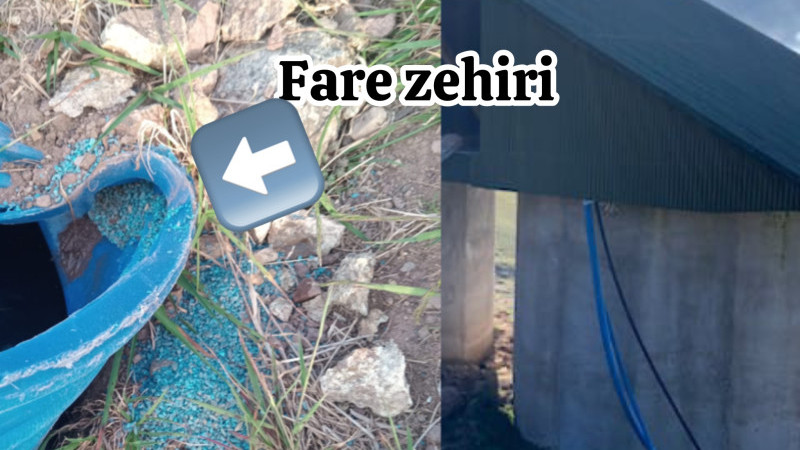  Kadırga Yaylası’nda Su Kaynağına Zehirli Saldırı: Büyük Facia Son Anda Önlendi