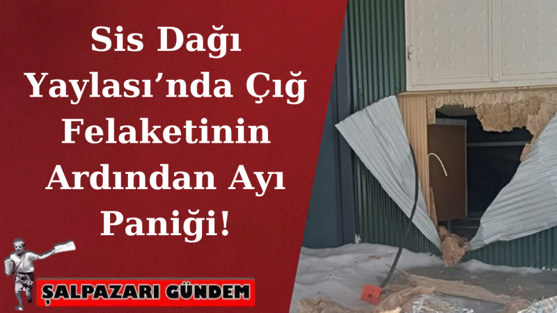 Sis Dağı Yaylası’nda Çığ Felaketinin Ardından Ayı Paniği!