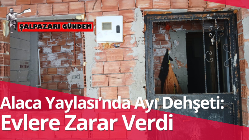 Alaca Yaylası’nda Ayı Dehşeti: Evlere Zarar Verdi