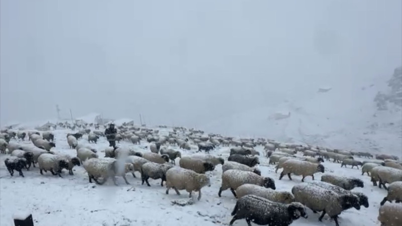 Mevsimin İlk Karı Trabzon ve Gümüşhane Yaylalarını Beyaza Bürüdü