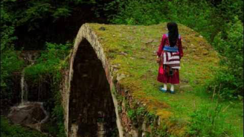 Ağasar’ın Balı”nın Acıklı Hikâyesi