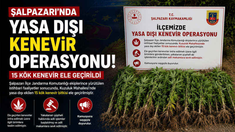 Şalpazarı’nda Yasa Dışı Kenevir Operasyonu: 15 Kök Kenevir Ele Geçirildi